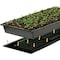 Ipower 10" x 20.5" Warm Hydroponic Seedling Heat Mat GLHTMTCTRLHTMTS - alternate 6